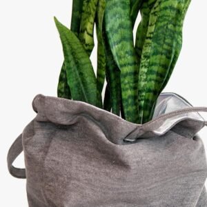 Plant Decor - Image 2